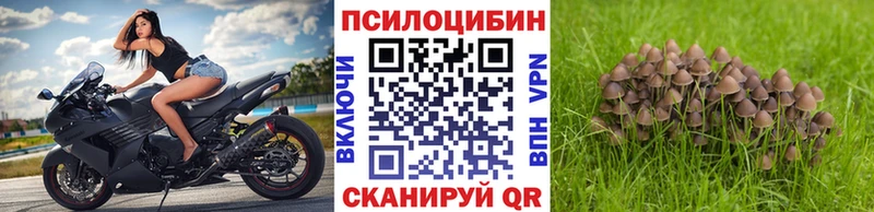 Галлюциногенные грибы прущие грибы  Большой Камень 