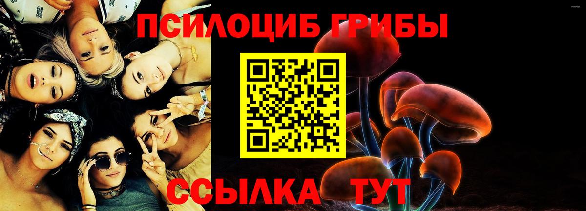 Большой Камень  Галлюциногенные грибы прущие грибы  Вход с VPN  Псилоцибиновые грибы MAGIC MUSHROOMS 