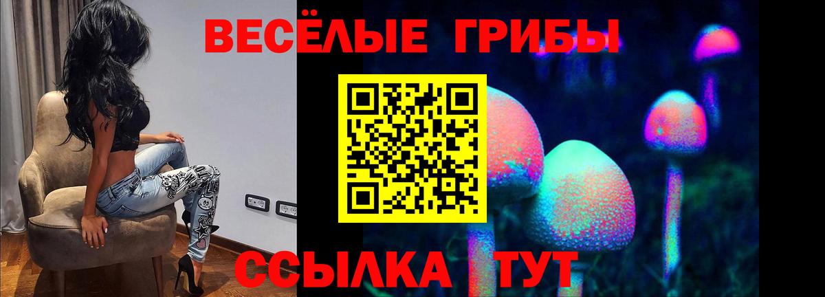 закладка  Большой Камень  Галлюциногенные грибы мицелий 