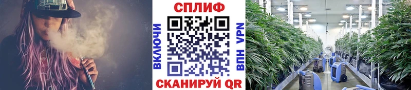 дарнет шоп  Большой Камень  маркетплейс формула  Канабис MAZAR  кракен зеркало 